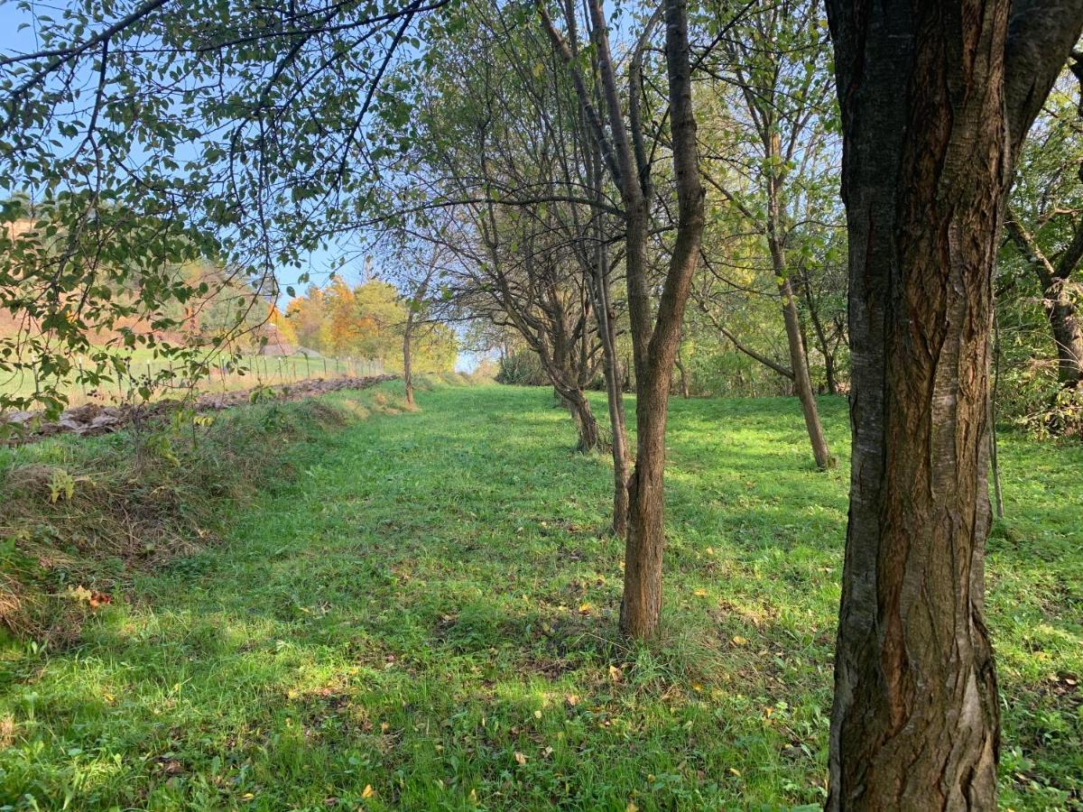 Conacul Maramuresean Bilgar Bogdan Voda Exterior photo